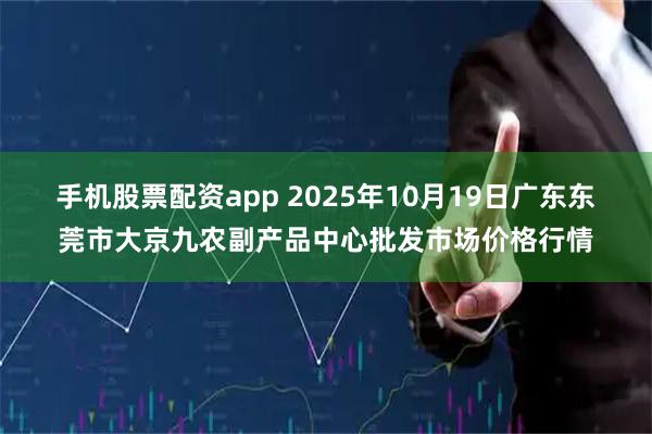 手机股票配资app 2025年10月19日广东东莞市大京九农副产品中心批发市场价格行情